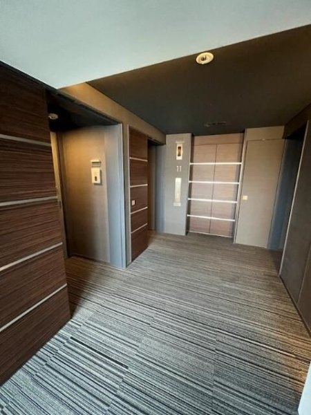 モデルノ トッレ 松濤(その他共用部分)