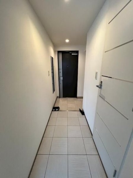 モデルノ トッレ 松濤(玄関)