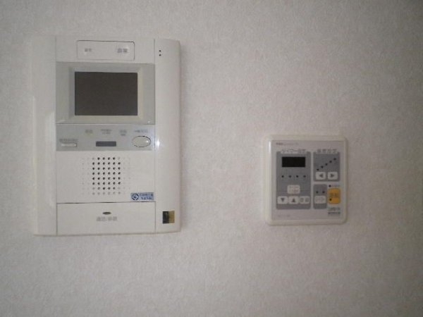 ＷＩＳＴＥＲＩＡ　ＫＯＭＡＺＡＷＡ