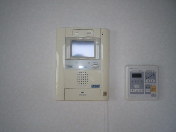 ＷＩＳＴＥＲＩＡ　ＫＯＭＡＺＡＷＡ