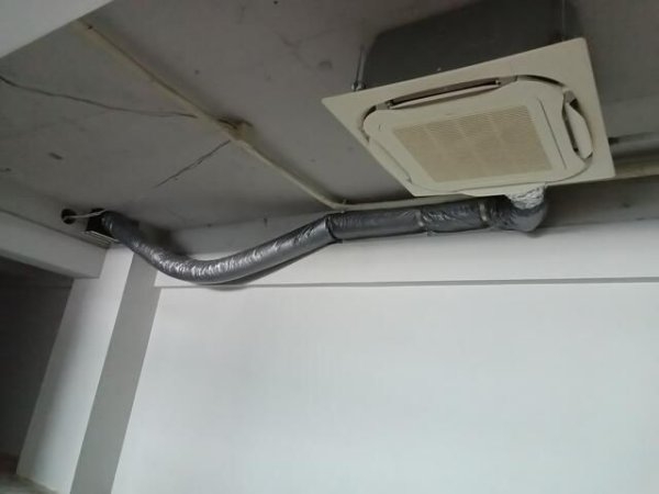 ジェントリー目白