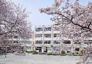 パインフィールドビル(世田谷区立松原小学校)