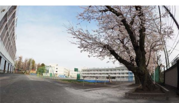 パインフィールドビル(世田谷区立赤堤小学校)