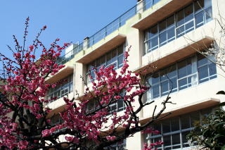 パインフィールドビル(世田谷区立梅丘中学校)