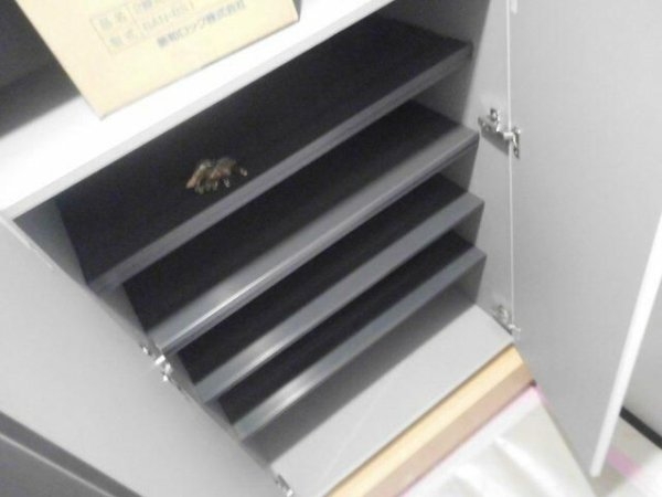 エスパーダ池尻