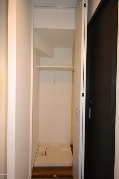 ＣＡＬＬＡＳ　ＳＴＹＬＥ　ＴＯＤＯＲＯＫＩ