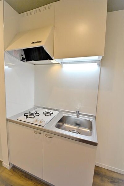 ＣＡＬＬＡＳ　ＳＴＹＬＥ　ＴＯＤＯＲＯＫＩ