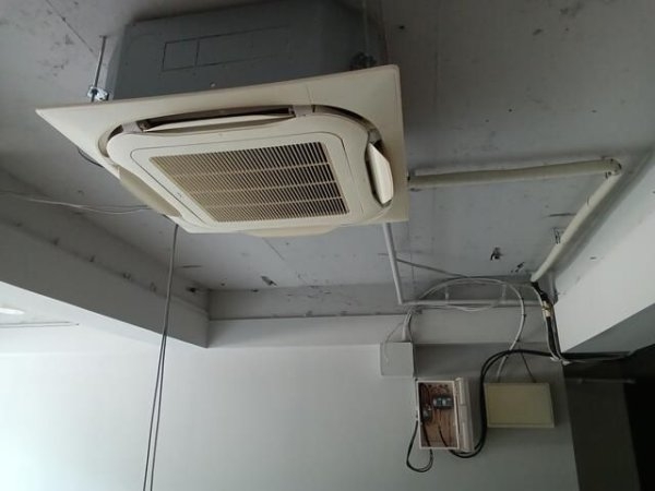 ジェントリー目白