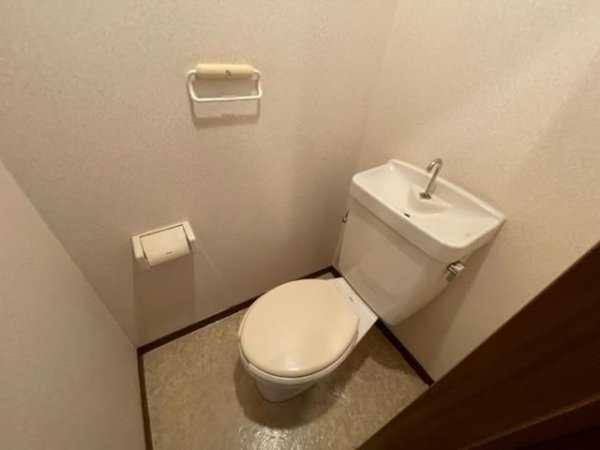 パレスドエトワール