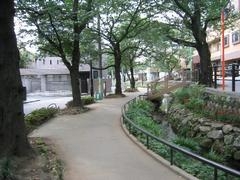 ラ・ペルラ下北沢(北沢川緑道)
