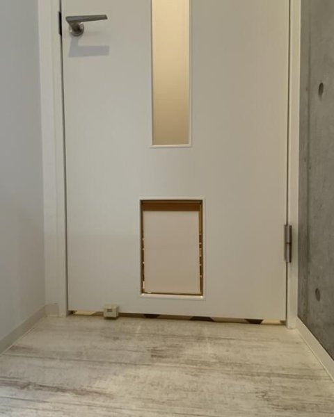 ブルドッグフランセ駒沢