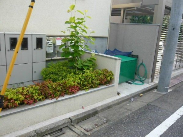 グレースＭ