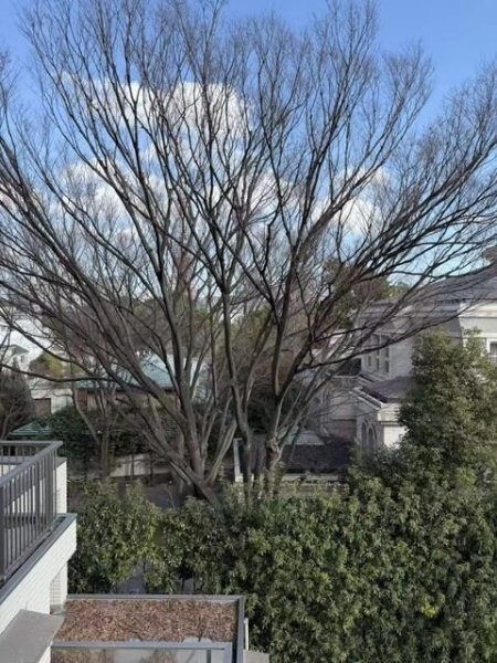 ロイヤルシーズン麻布永坂