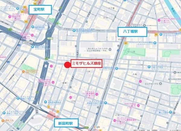 ミモザヒルズ銀座