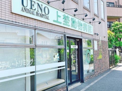 GRANPASEO下北沢3(上埜動物病院)