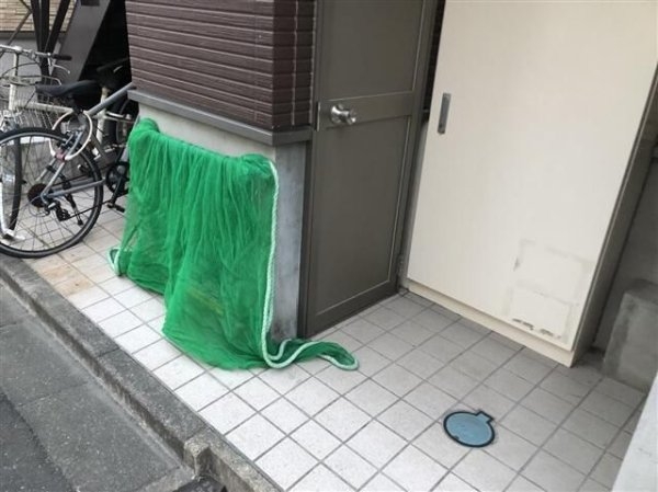 シンフォニア