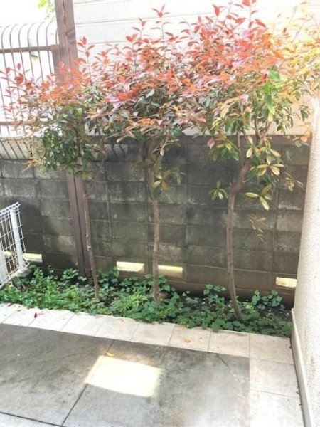 ラフィーネ深沢