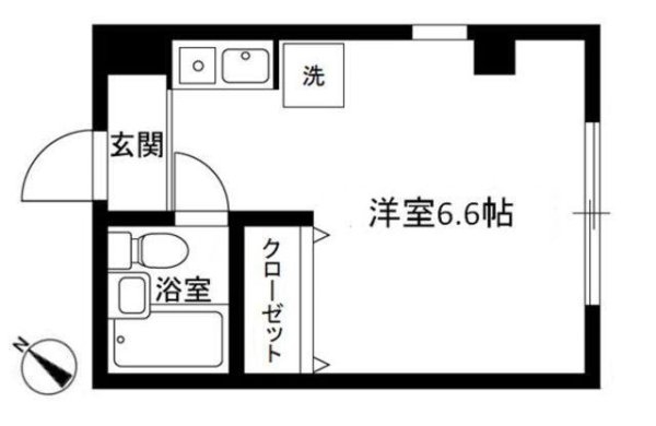 コート・アイビー