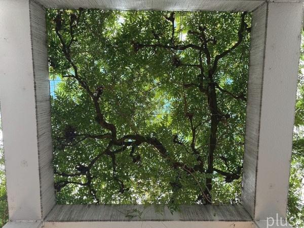 嵐山グランドシティ　三条通に面するテナント