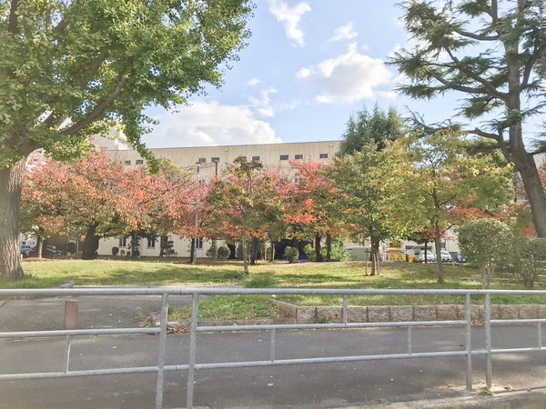 キャピトル靭本町(島津公園)