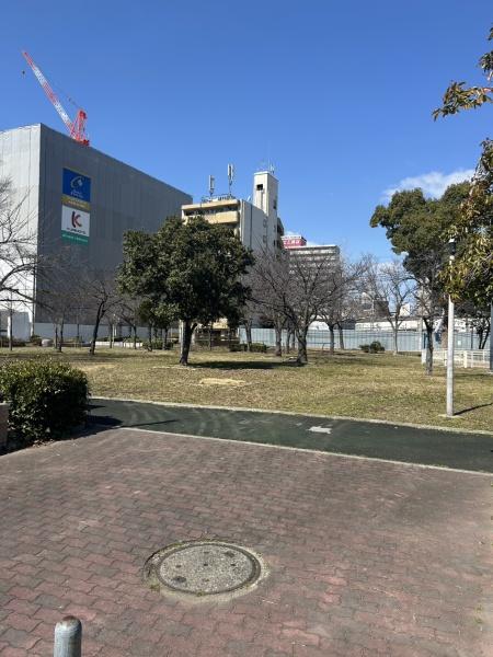 THEMUSICCOURT(浪速中公園)