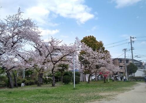 サンマークだいにちサンタワーレジデンス(大日南公園)