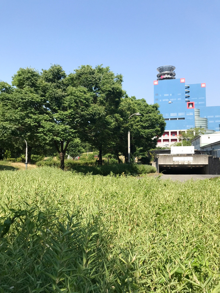 カサビアンカ(扇町公園)