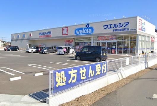 Y&Mスター(ウエルシア宇都宮細谷町店)