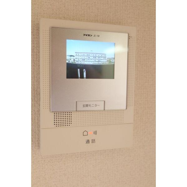 Y&Mスター
