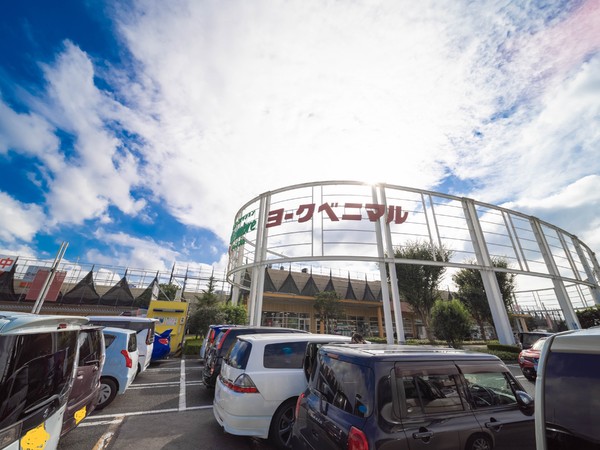Y&M　RegaroⅡ(ヨークベニマル石橋店)