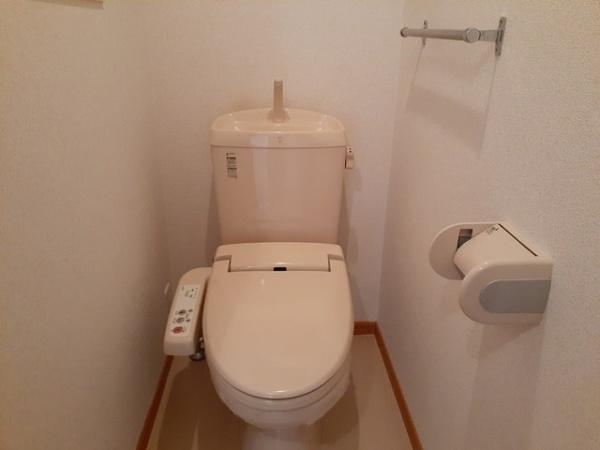 ヴィオラ　Ｃ