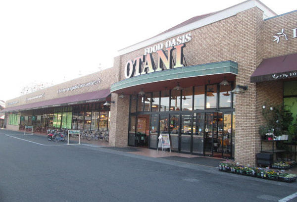 宇都宮市平松本町のマンション(フードオアシスOTANI平松店)