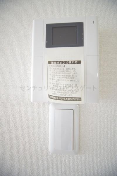 BellaLuceB(ベラ・ルーチェ　B)