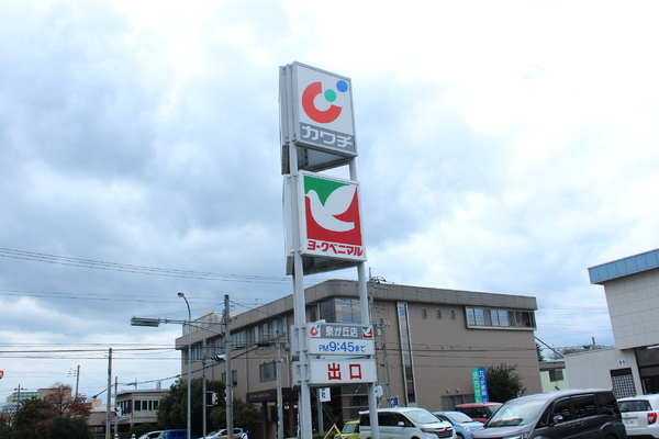 シティパルスギモトIII号棟(ヨークベニマル泉が丘店)