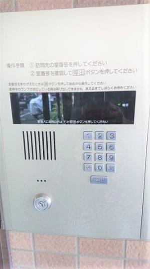 アルファレジデンス駅東