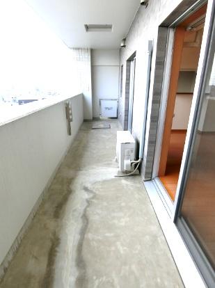 アルトカッシーナ