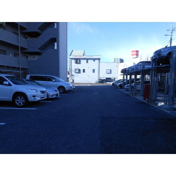 プラスペリティ