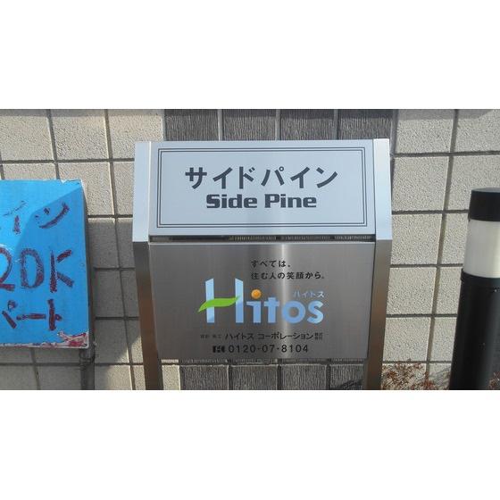 サンドパインA