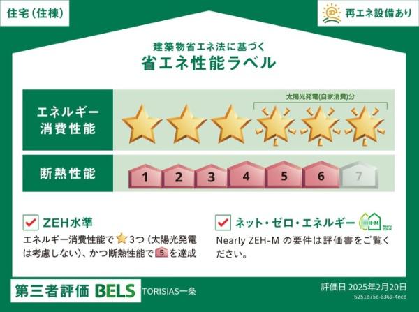 TORISIAS一条