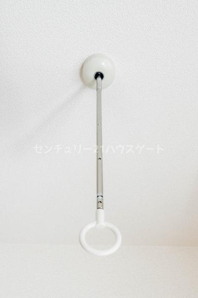 カルミア