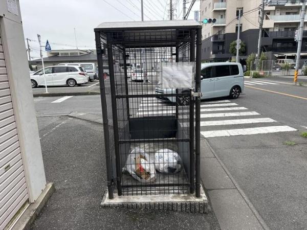プルメリア