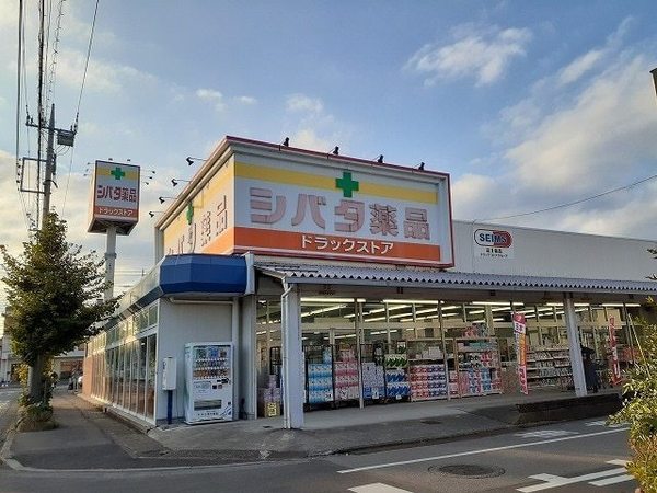 グランドハイツ関根II(シバタ薬品住吉店)