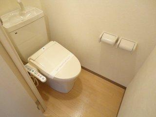 ルミエールユウ