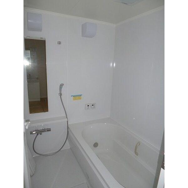 Yヨウトウ7パナメゾン