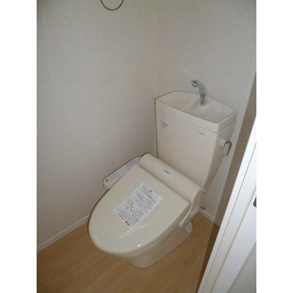 Yヨウトウ7パナメゾン