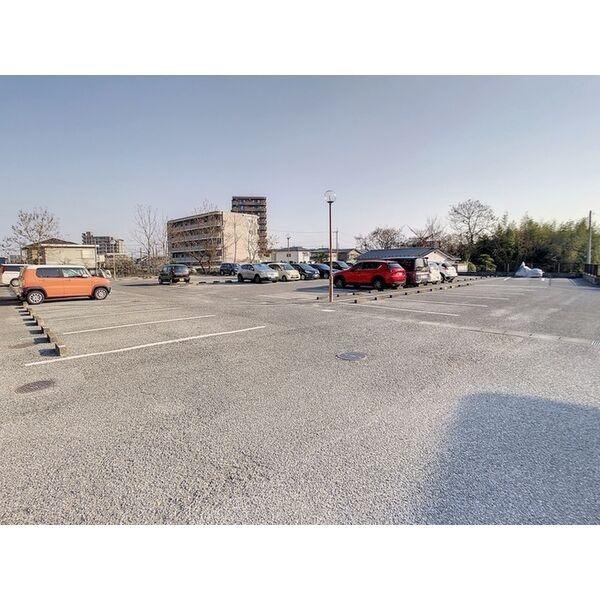 ライブスクエア　竹林