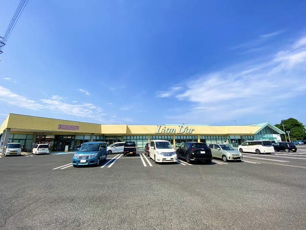 レジェンド・ヒルB(リオン・ドール高根沢店)