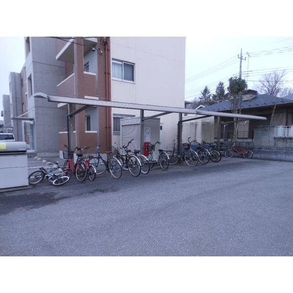 リベラルコート