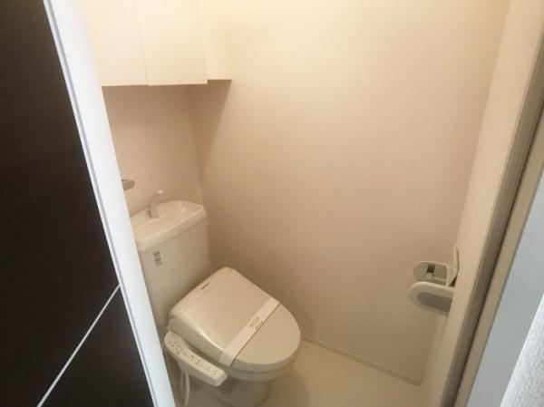 マロニエＫＩＮＵ