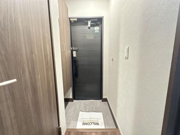TORISIASメソン